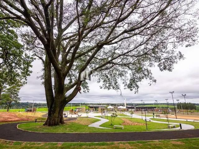 Terreno / Lote para Venda em Piratininga/SP Residencial Villa de Leon