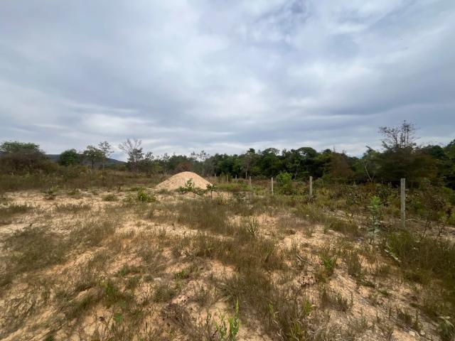 Terreno / Lote para Venda em Pirenópolis/GO Área Rural de Pirenópolis