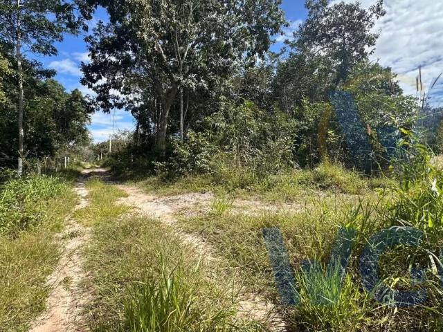 Terreno / Lote para Venda em Pirenópolis/GO Área Rural de Pirenópolis