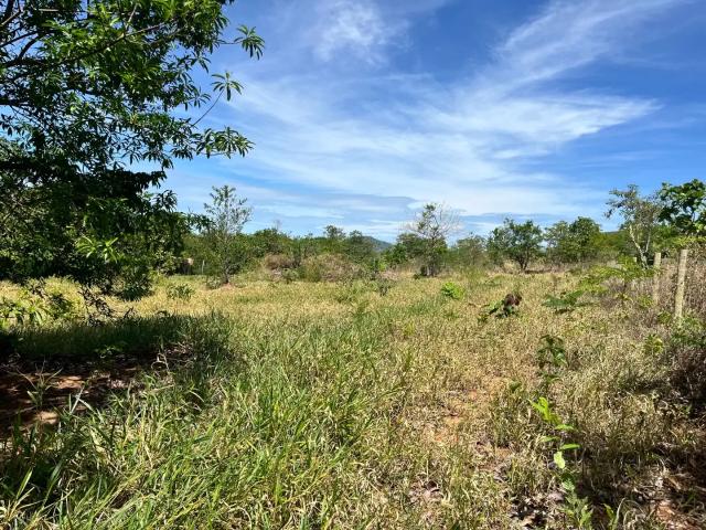 Terreno / Lote para Venda em Pirenópolis/GO Bairro do Carmo