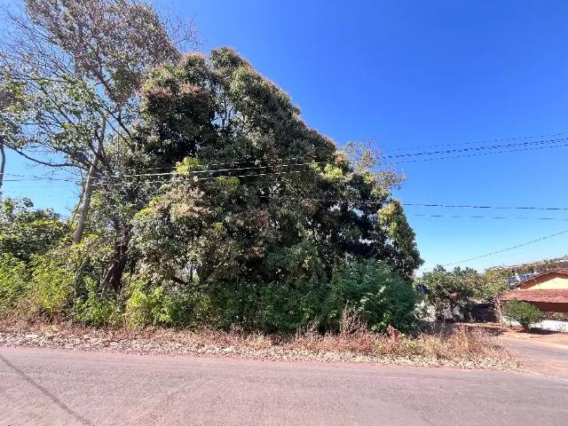 Terreno / Lote para Venda em Pirenópolis/GO Bairro do Carmo