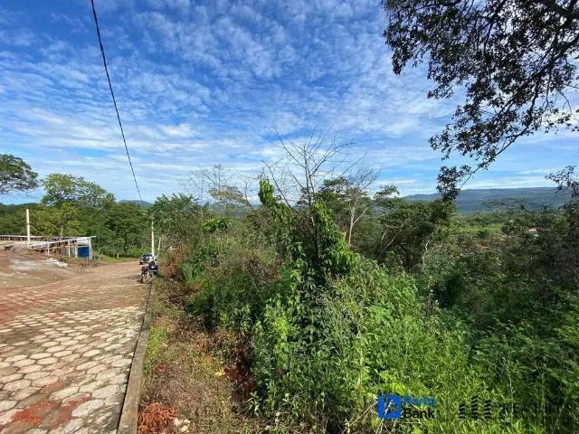 Terreno / Lote para Venda em Pirenópolis/GO Jardim Taquaral