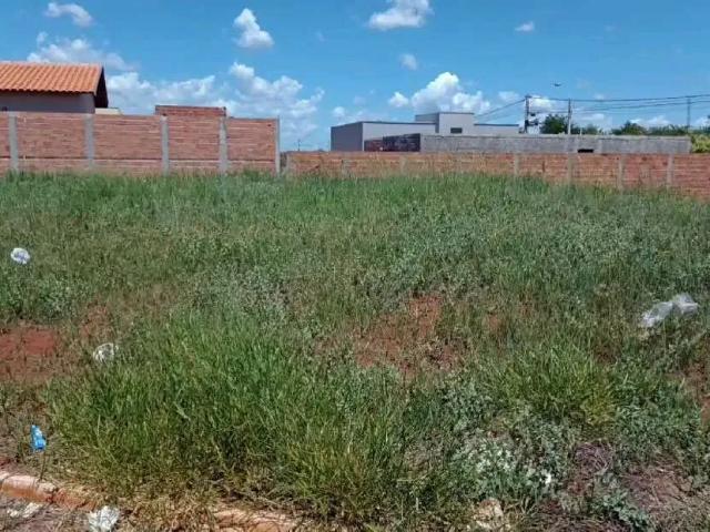 Terreno / Lote para Venda em Pitangueiras/SP Jardim das Pitangueiras