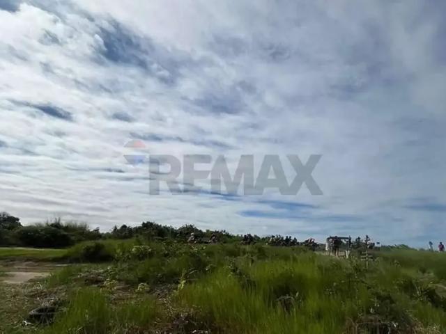 Terreno / Lote para Venda em Pitimbu/PB Centro