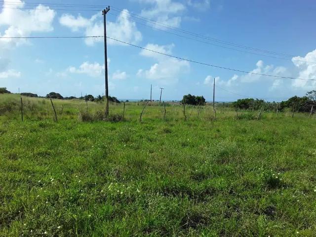 Terreno / Lote para Venda em Pitimbu/PB Centro