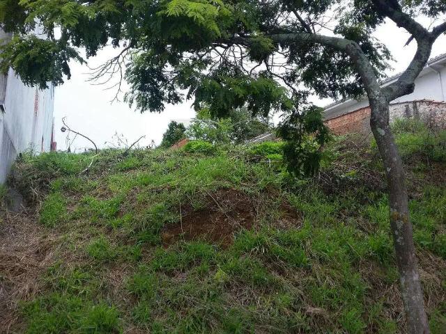Terreno / Lote para Venda em Poços de Caldas/MG Vila Togni