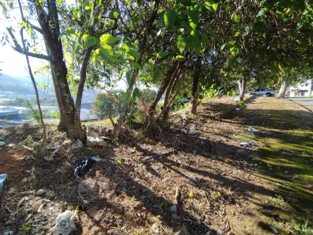 Terreno / Lote para Venda em Poços de Caldas/MG Vila Togni