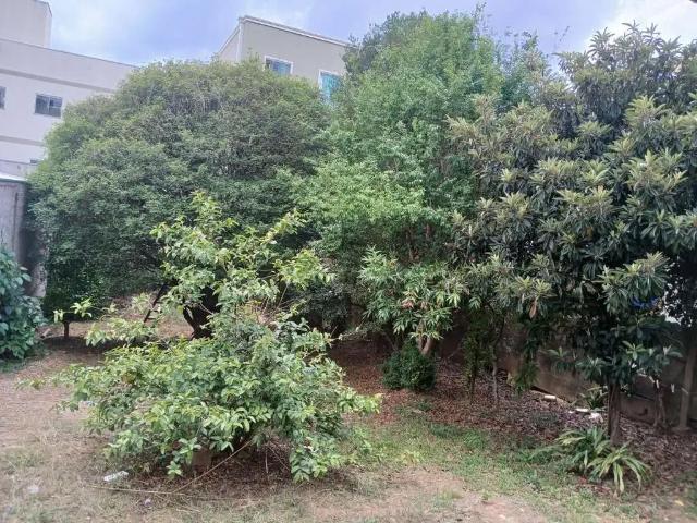 Terreno / Lote para Venda em Poços de Caldas/MG Vila Togni