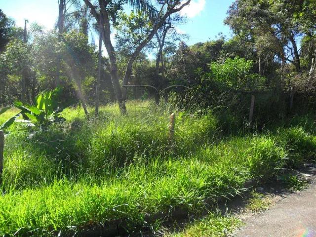 Terreno / Lote para Venda em Poços de Caldas/MG Boa Esperança II