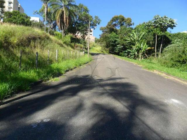 Terreno / Lote para Venda em Poços de Caldas/MG Boa Esperança II