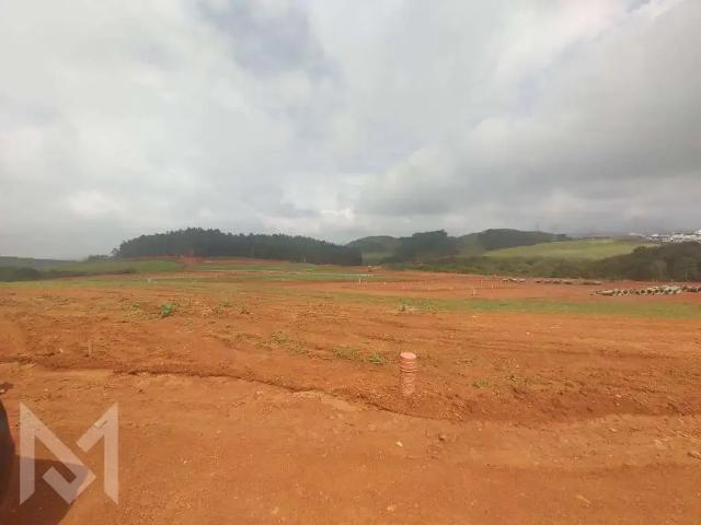 Terreno / Lote para Venda em Poços de Caldas/MG Centro