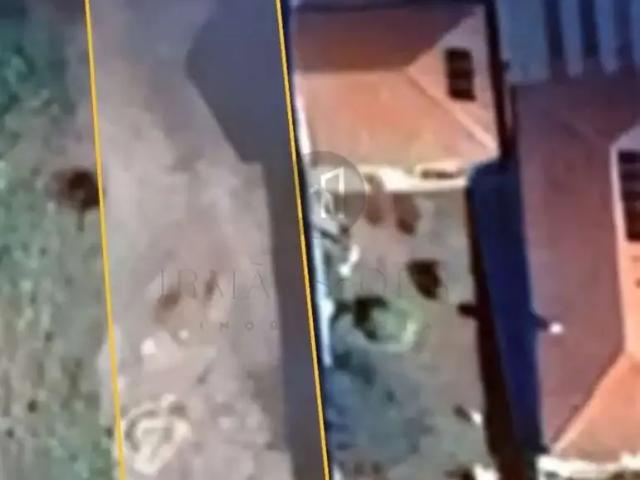 Terreno / Lote para Venda em Poços de Caldas/MG Chácara dos Cravos