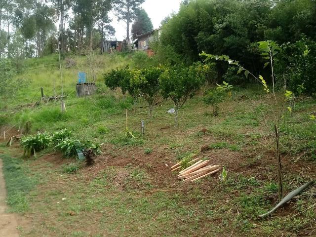 Terreno / Lote para Venda em Poços de Caldas/MG Chácara Poços de Caldas