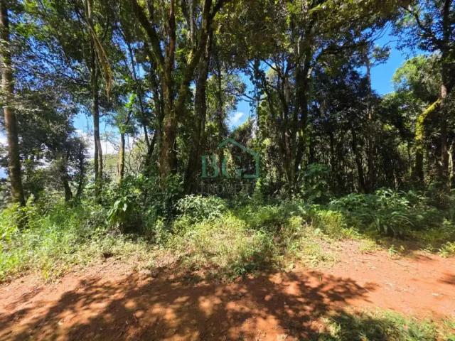 Terreno / Lote para Venda em Poços de Caldas/MG Chácara Praia do Sol