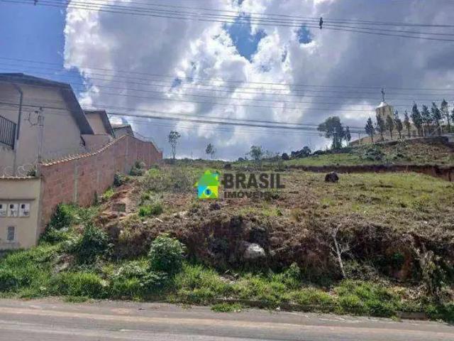 Terreno / Lote para Venda em Poços de Caldas/MG Colinas