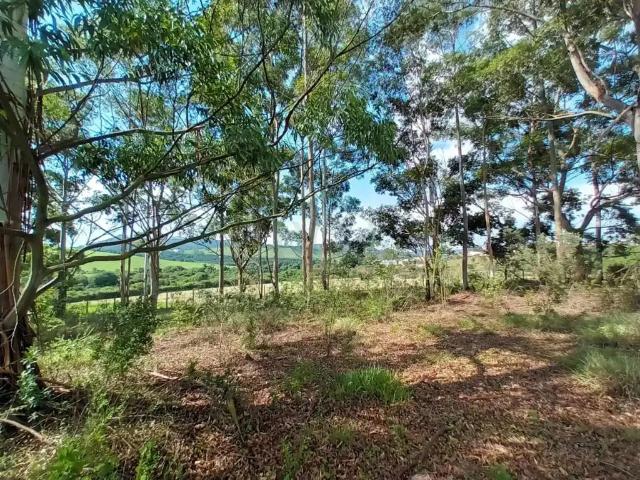 Terreno / Lote para Venda em Poços de Caldas/MG Distrito Industrial