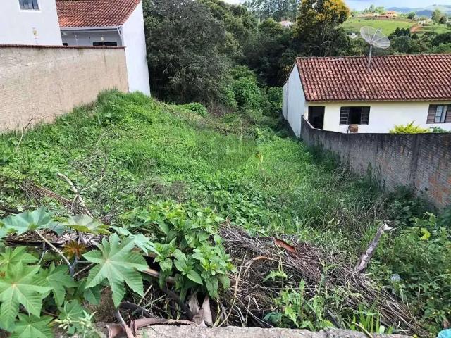 Terreno / Lote para Venda em Poços de Caldas/MG Estância São José
