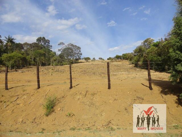 Terreno / Lote para Venda em Poços de Caldas/MG Fazenda Baeta