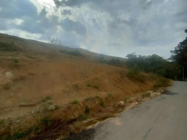 Terreno / Lote para Venda em Poços de Caldas/MG Fazenda Baeta