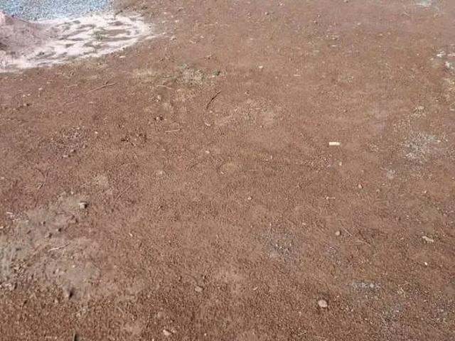Terreno / Lote para Venda em Poços de Caldas/MG Jardim Bandeirantes