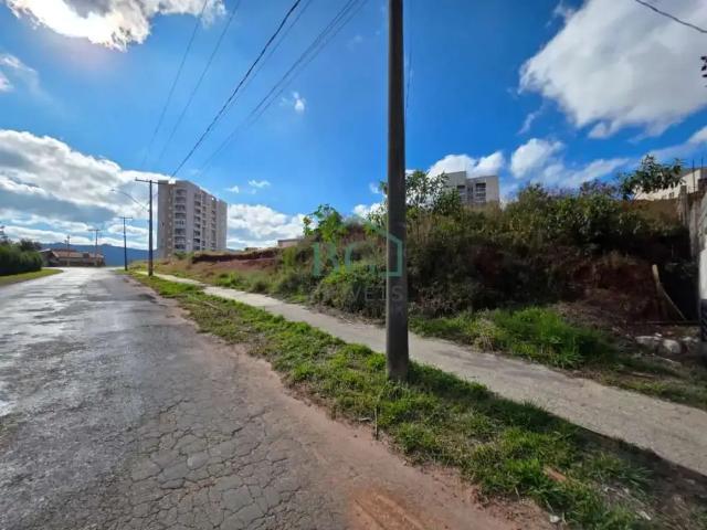 Terreno / Lote para Venda em Poços de Caldas/MG Jardim Doutor Ottoni