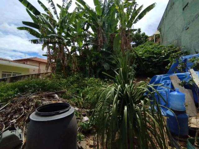 Terreno / Lote para Venda em Poços de Caldas/MG Jardim dos Estados