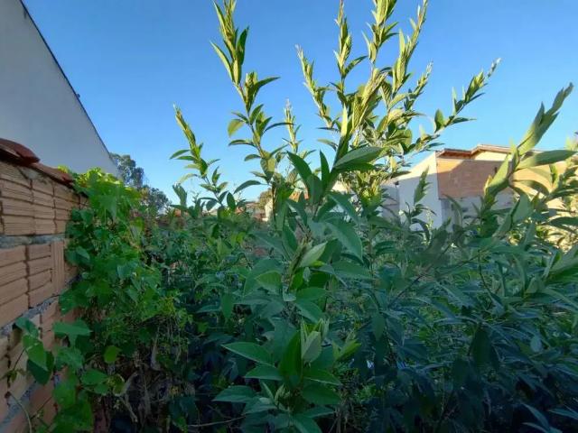 Terreno / Lote para Venda em Poços de Caldas/MG Jardim Kennedy