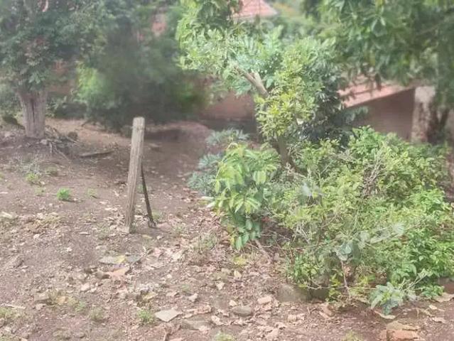 Terreno / Lote para Venda em Poços de Caldas/MG Jardim São Paulo