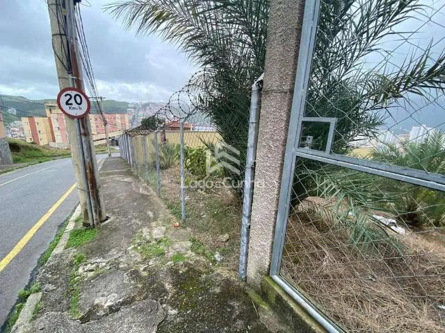 Terreno / Lote para Venda em Poços de Caldas/MG Jardim Quisisana