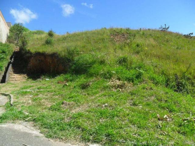 Terreno / Lote para Venda em Poços de Caldas/MG Jardim Regina