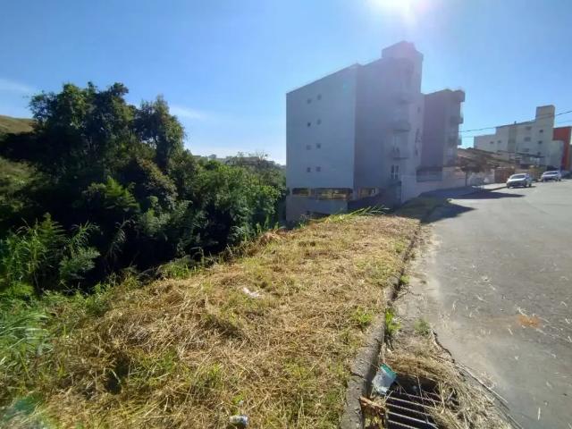 Terreno / Lote para Venda em Poços de Caldas/MG Jardim Vitória