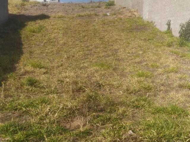 Terreno / Lote para Venda em Poços de Caldas/MG Jardins de Florença