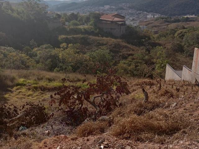 Terreno / Lote para Venda em Poços de Caldas/MG Jardins de Florença