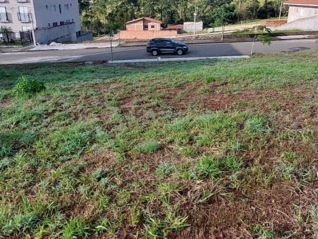 Terreno / Lote para Venda em Poços de Caldas/MG Loteamento Caldense