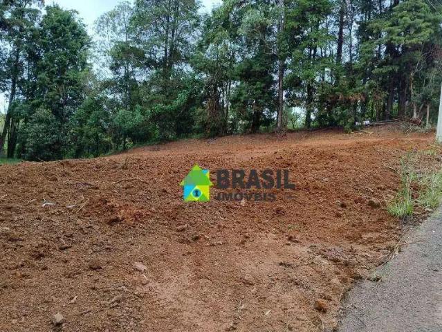 Terreno / Lote para Venda em Poços de Caldas/MG Morada dos Pássaros