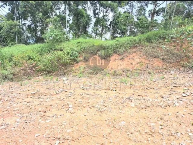Terreno / Lote para Venda em Poços de Caldas/MG Morada dos Pássaros