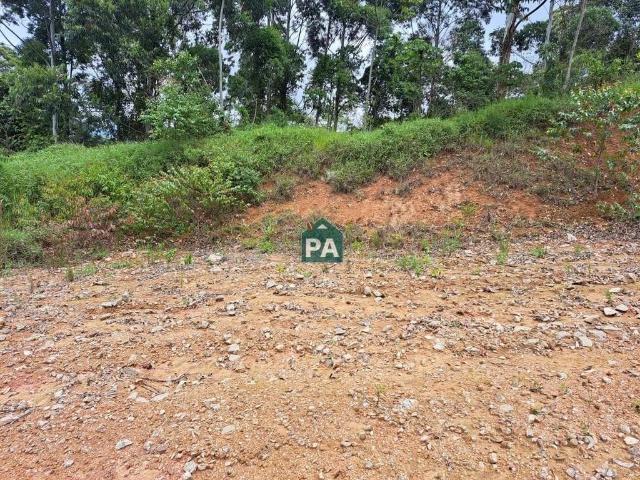 Terreno / Lote para Venda em Poços de Caldas/MG Morada dos Pássaros