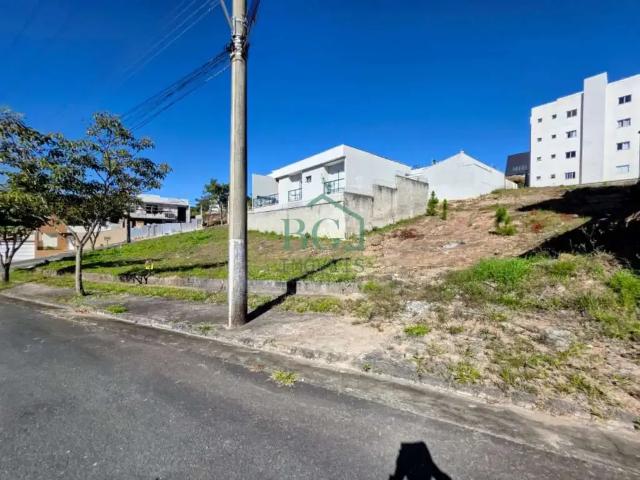 Terreno / Lote para Venda em Poços de Caldas/MG Parque San Carlo