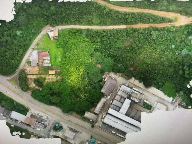 Terreno / Lote para Venda em Poços de Caldas/MG Parque Primavera