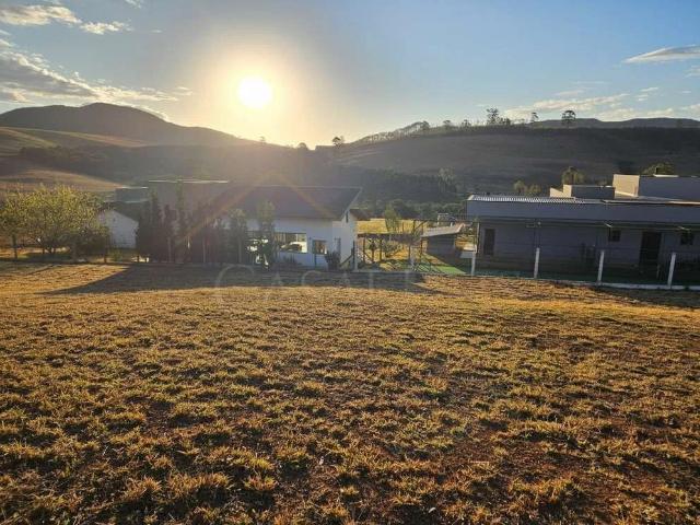 Terreno / Lote para Venda em Poços de Caldas/MG Residencial e Industrial Campo Alegre