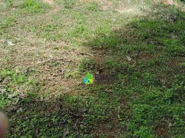 Terreno / Lote para Venda em Poços de Caldas/MG São José