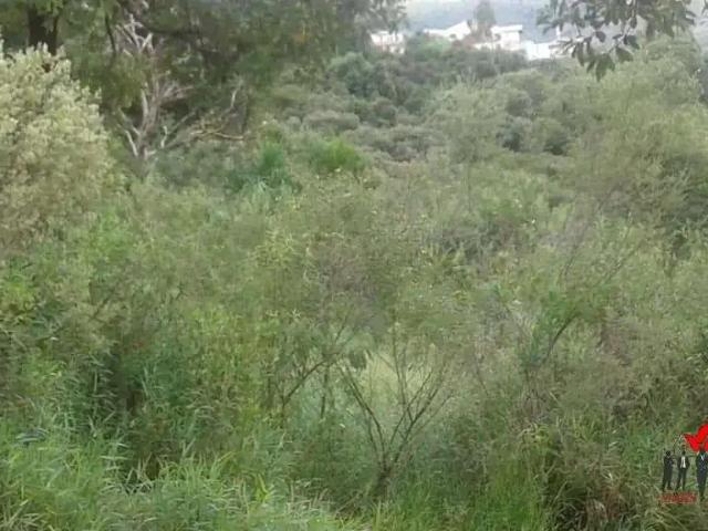 Terreno / Lote para Venda em Poços de Caldas/MG Santa Maria