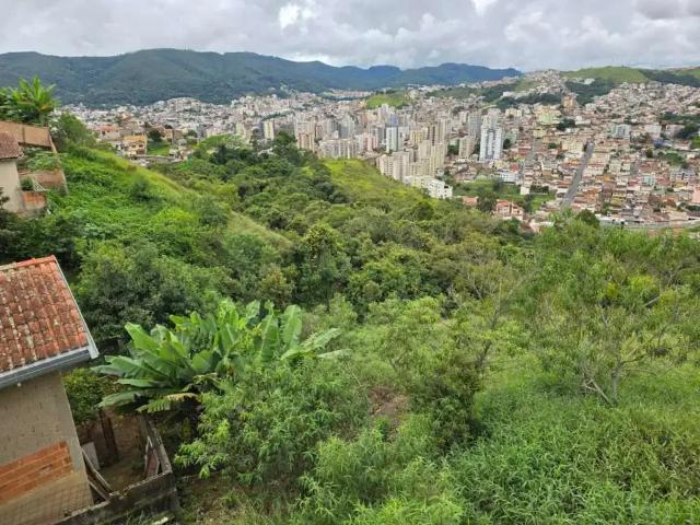 Terreno / Lote para Venda em Poços de Caldas/MG Santa Maria