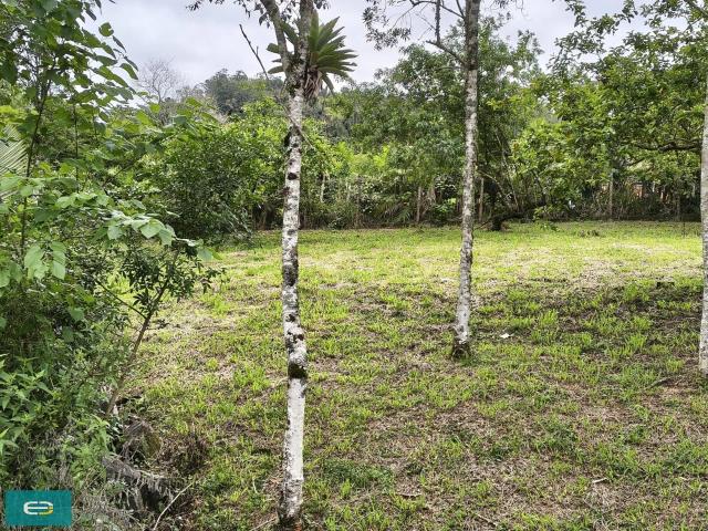 Terreno / Lote para Venda em Pomerode/SC Centro