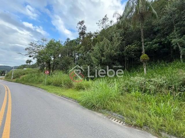 Terreno / Lote para Venda em Pomerode/SC Centro
