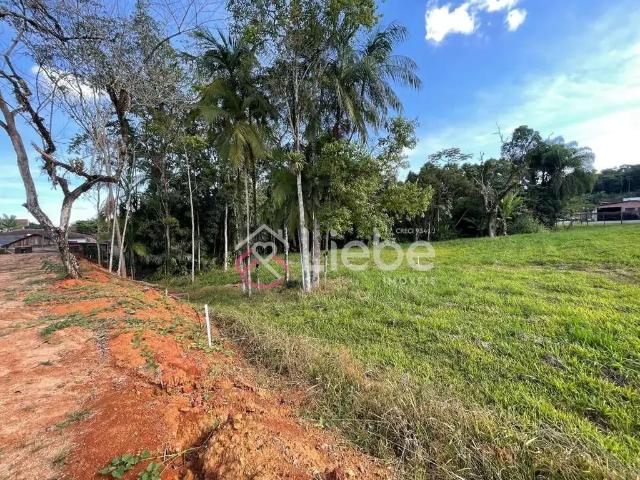 Terreno / Lote para Venda em Pomerode/SC Centro