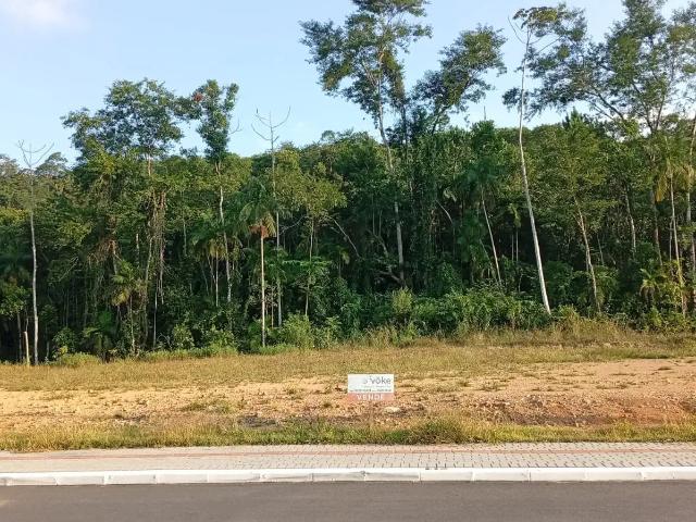 Terreno / Lote para Venda em Pomerode/SC Centro