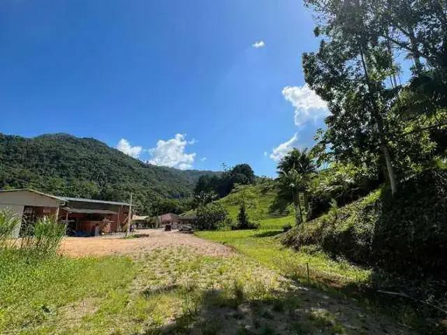 Terreno / Lote para Venda em Pomerode/SC Pomerode Fundos