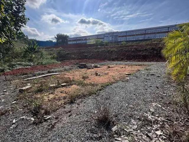 Terreno / Lote para Venda em Pomerode/SC Ribeirão Areia