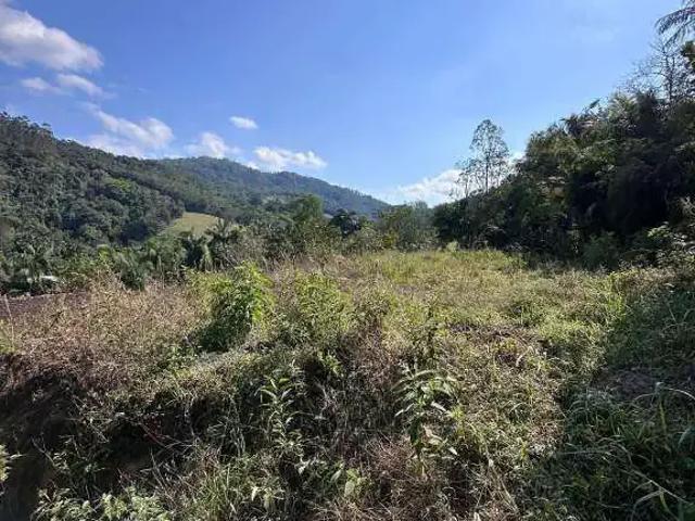Terreno / Lote para Venda em Pomerode/SC Ribeirão Areia